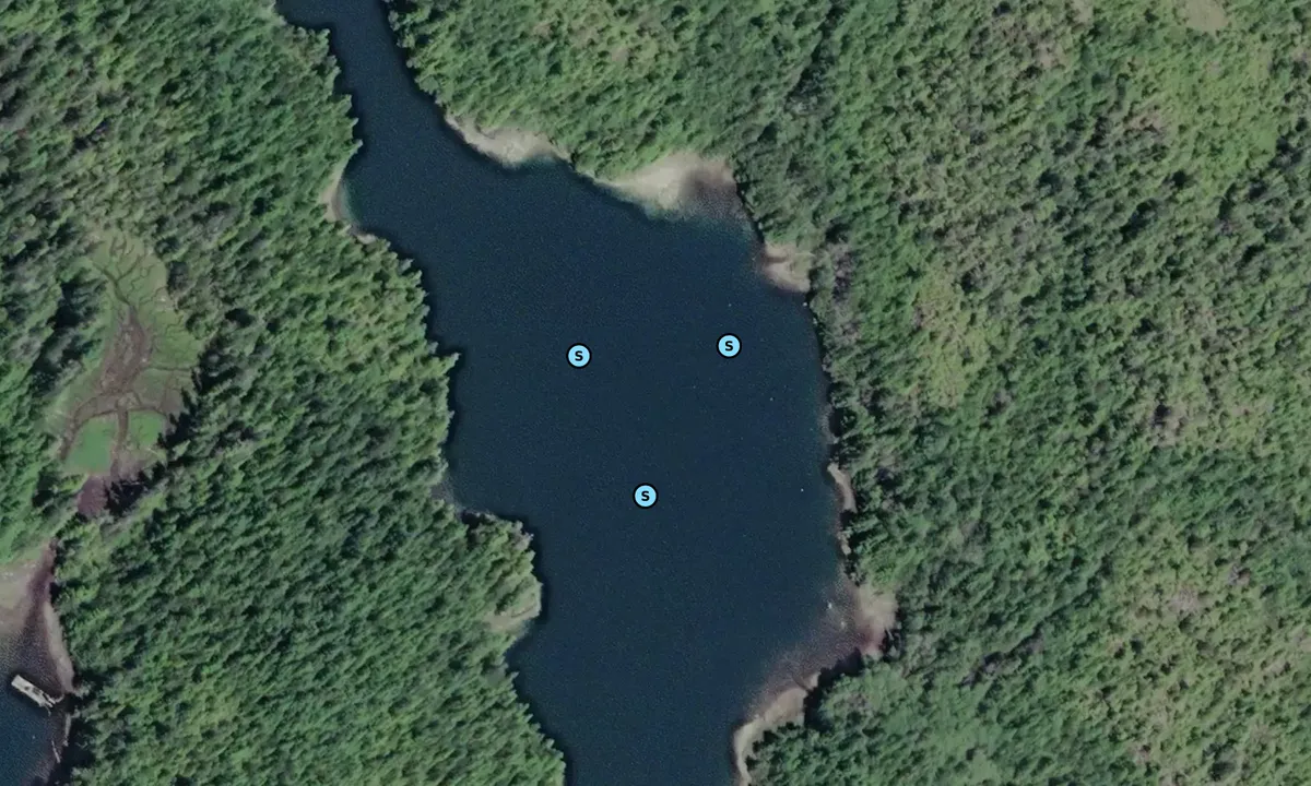 Satelite image of Bodega Cove