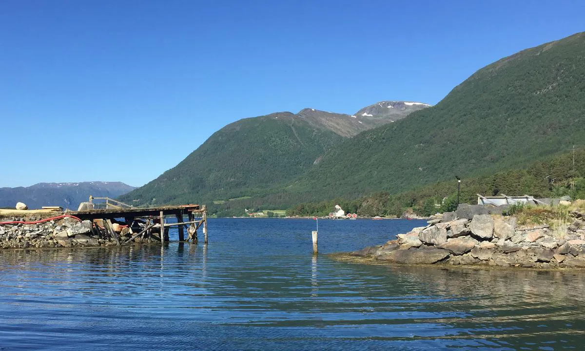 Bøfjorden Småbåthavn: Innløpet til havna.
Her er det lite vann ved lavvann, ca 1,7 mtr.