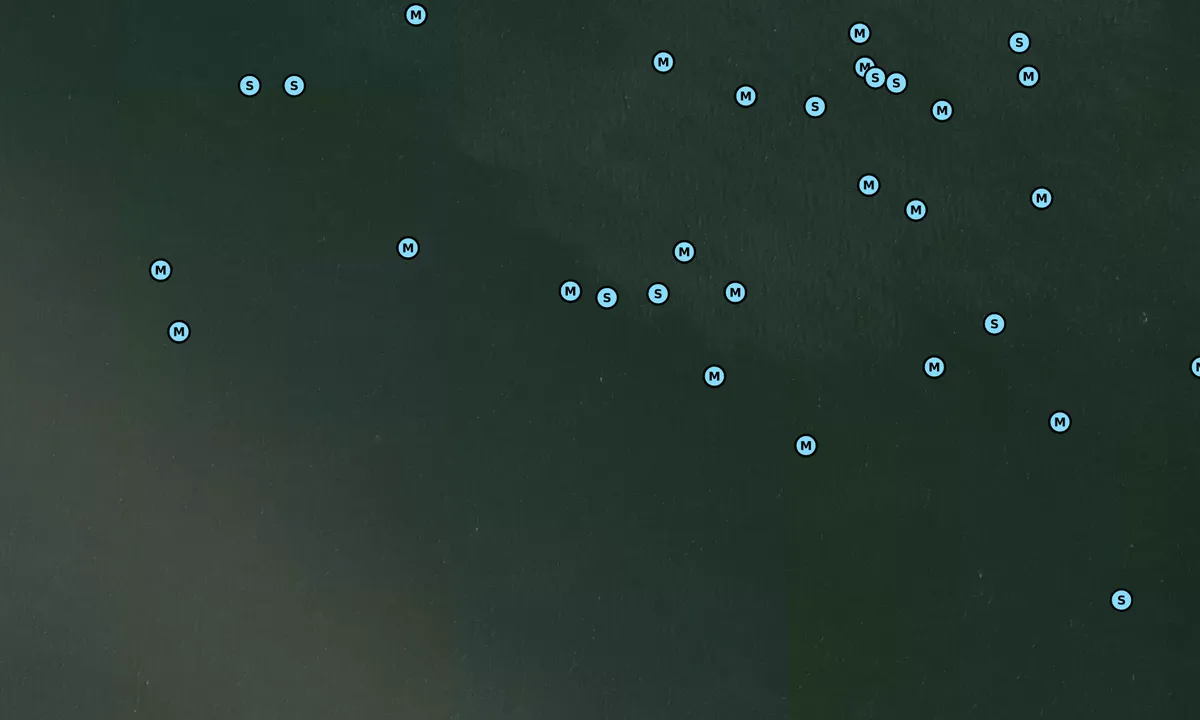 Satelite image of Bohemia River