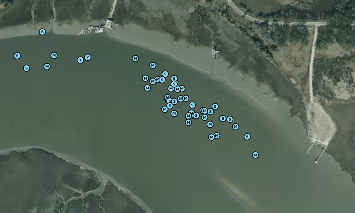 Satelite image of Bohicket Creek Anchorage 2