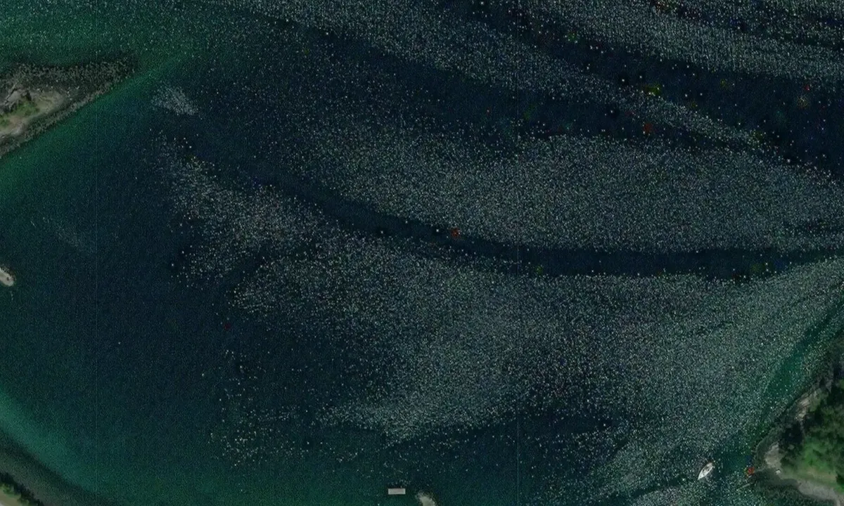 Satelite image of Bolsøybukta