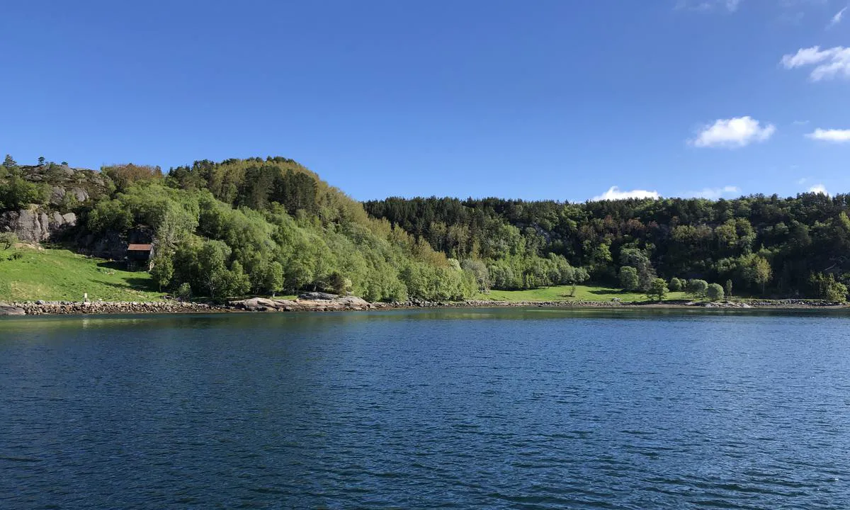 Bolvågen: Skogen og beiteområdene strekker seg godt utover.