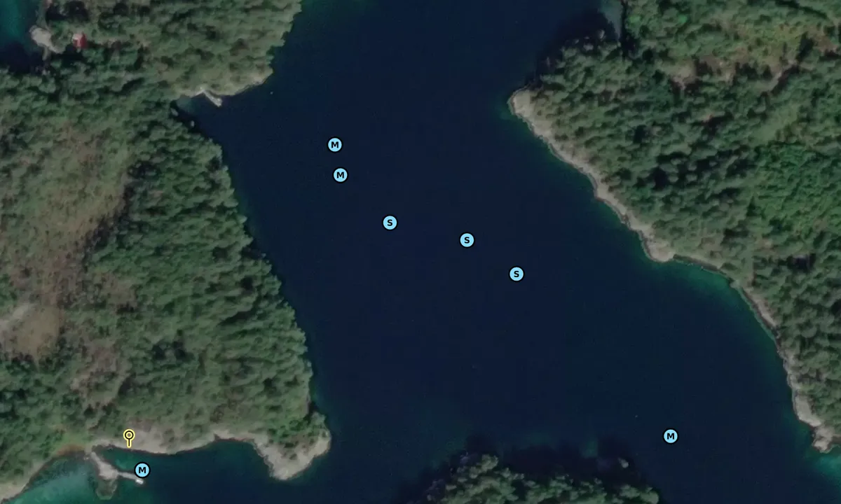 Satelite image of Borgundøy