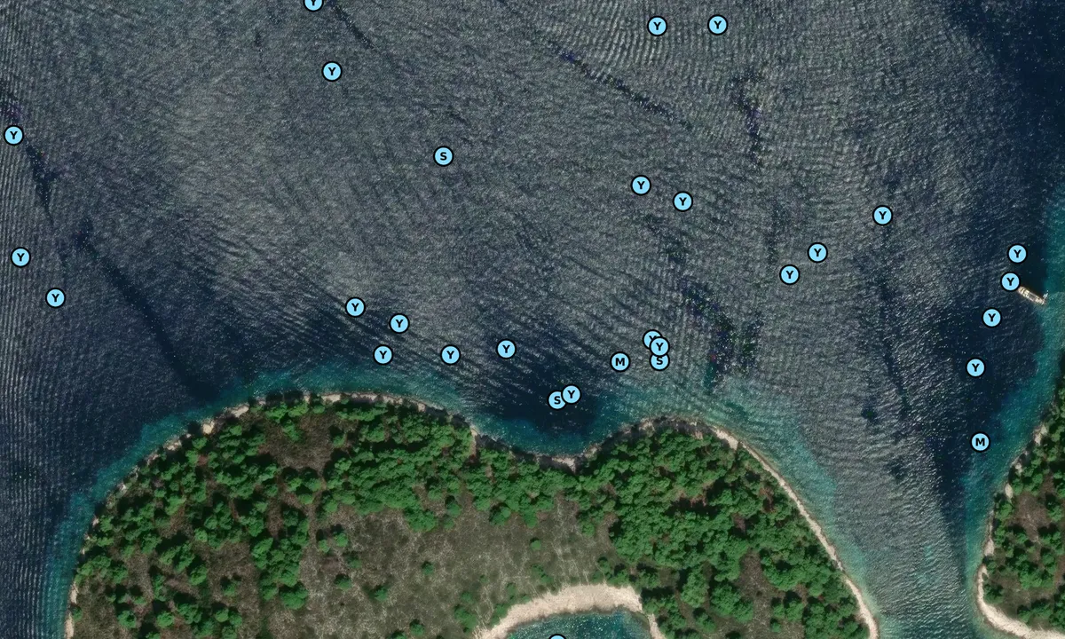 Satelite image of Borovac