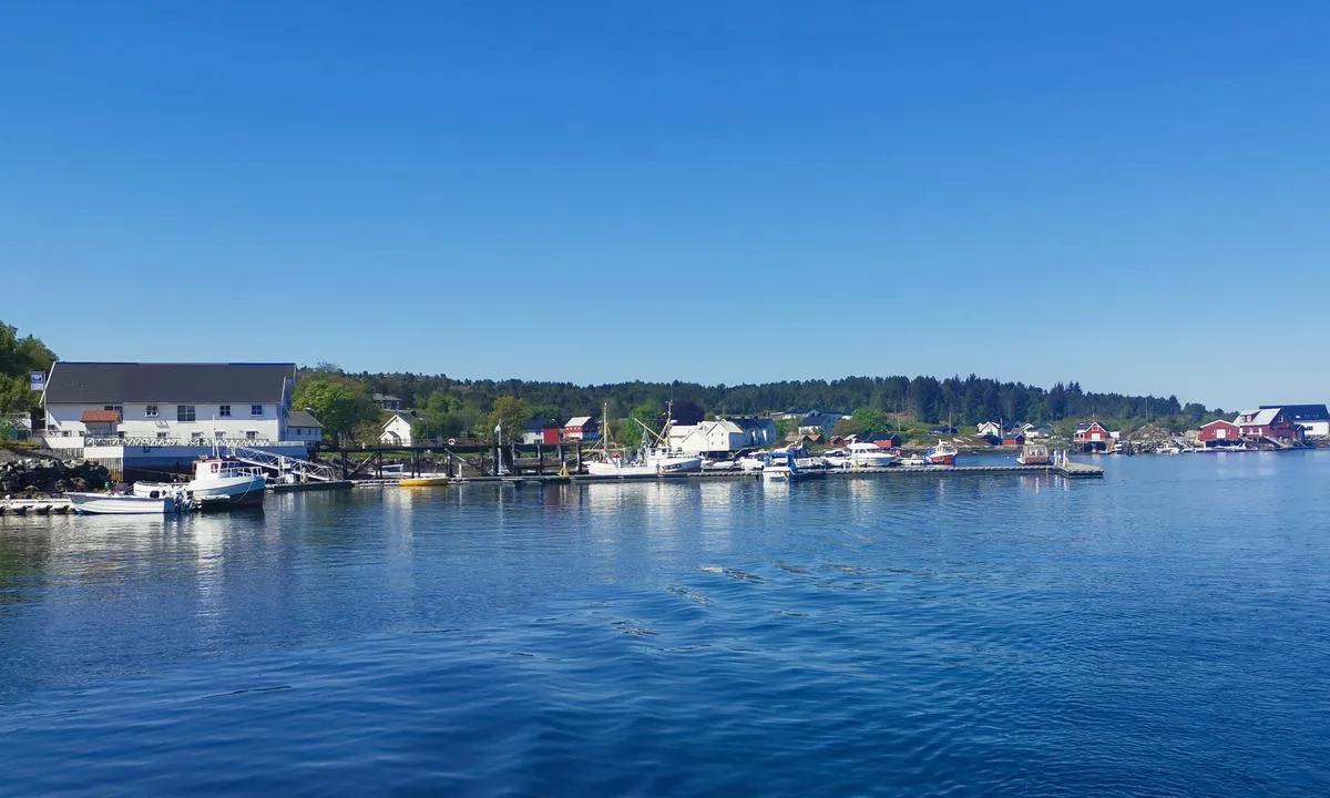 Børøysund gjestehavn.