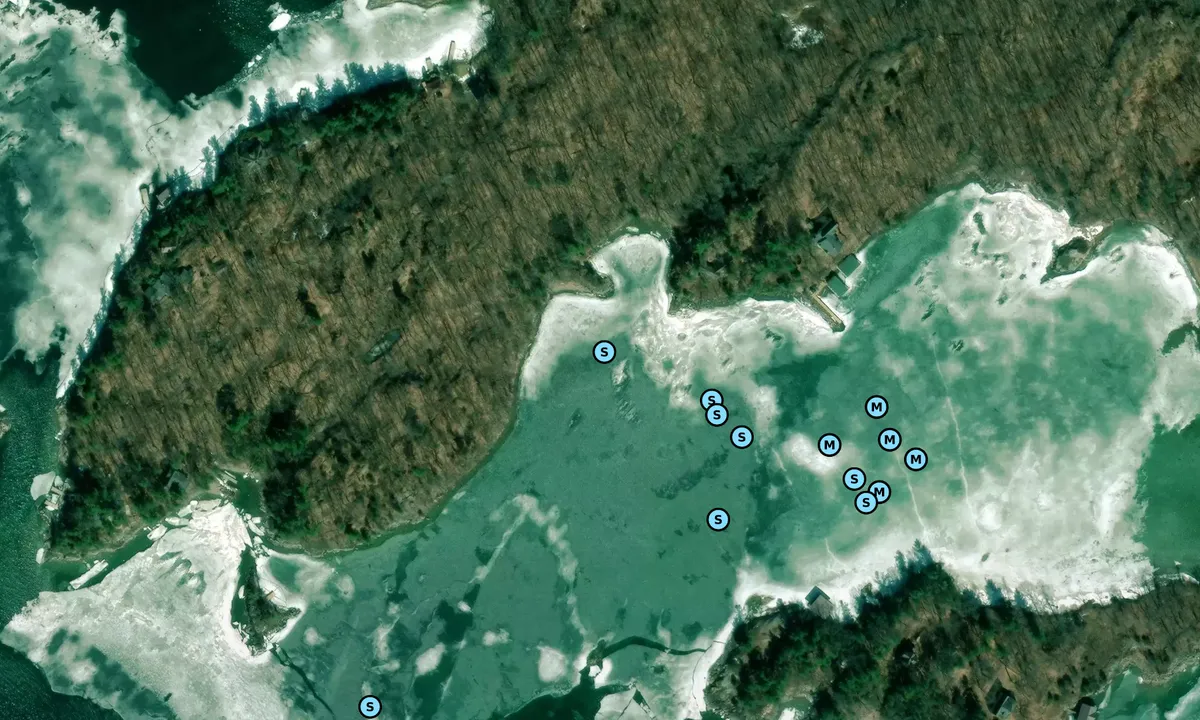 Satelite image of Bostwick South