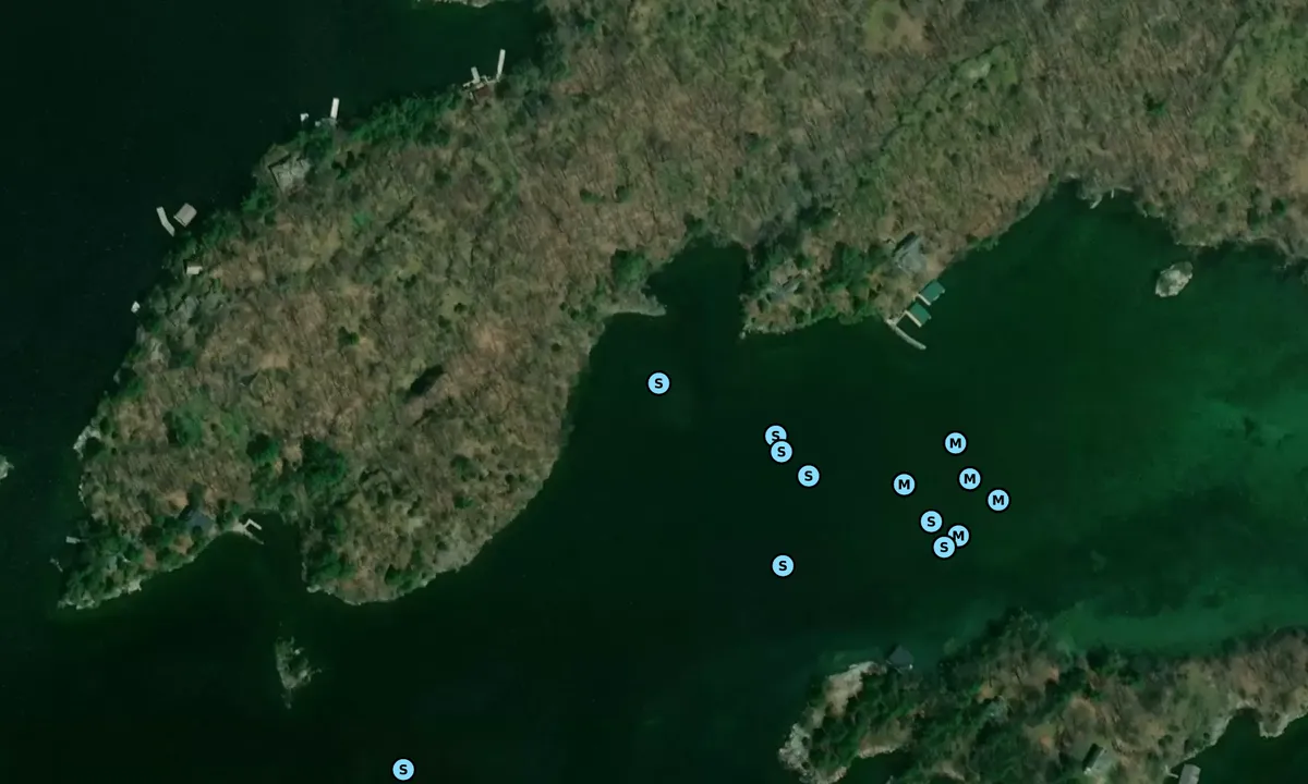 Satelite image of Bostwick South