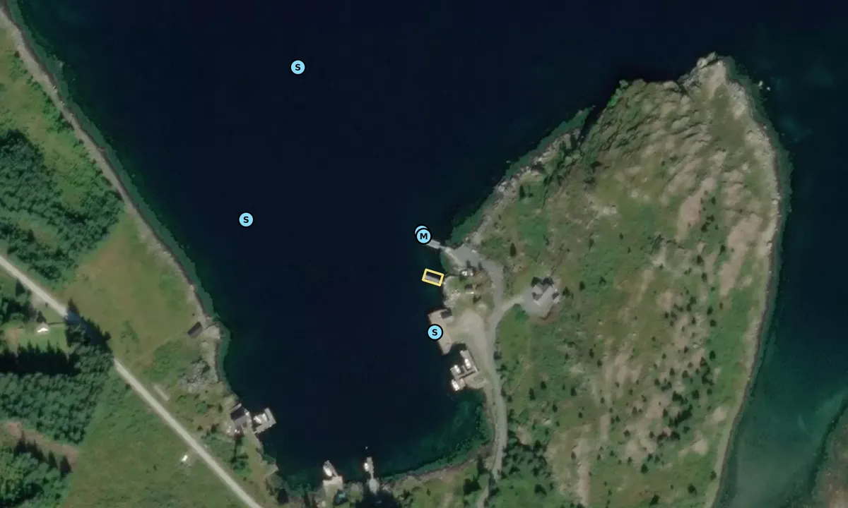 Satelite image of Botnane Havn