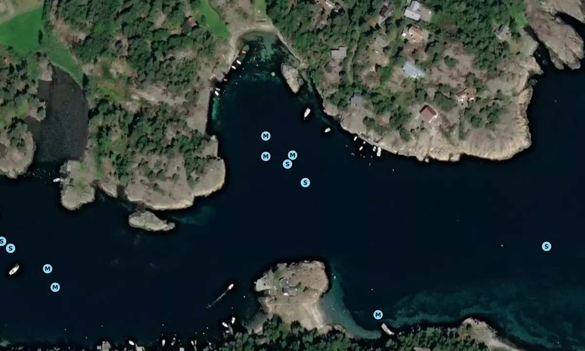 Satelite image of Bottsfjorden