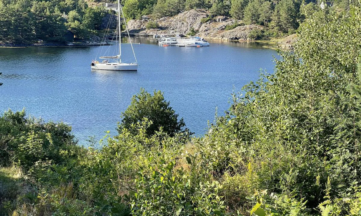 Bottsfjorden