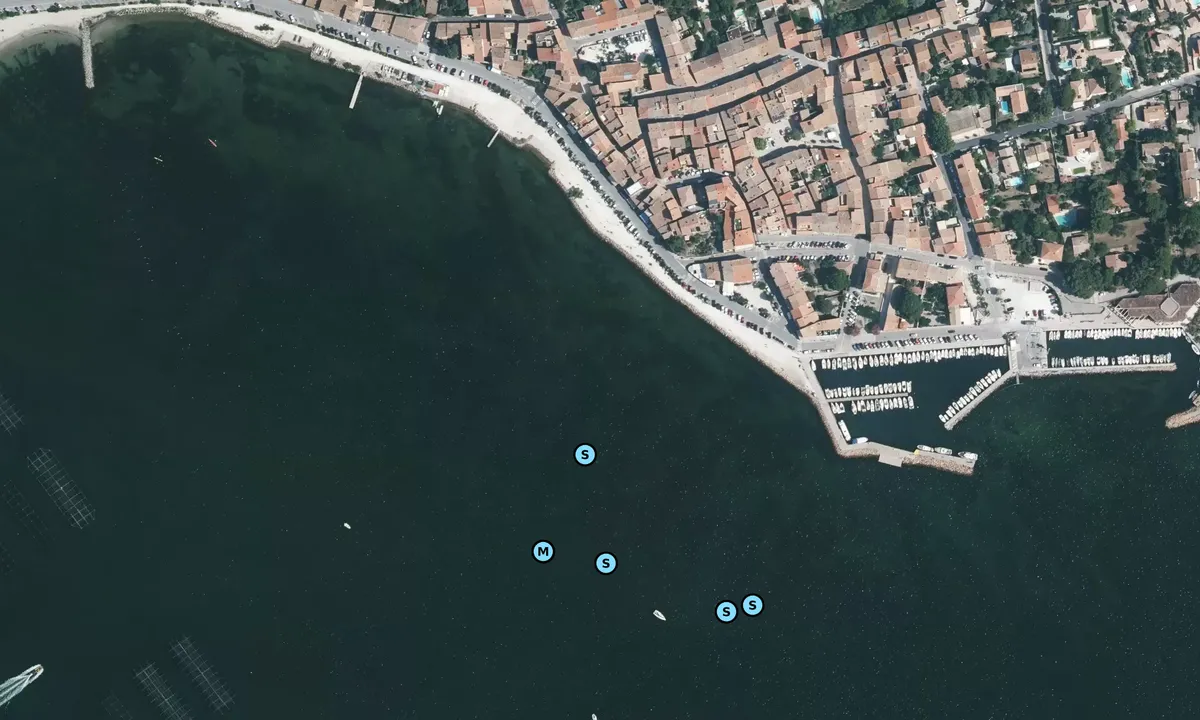 Satelite image of Bouzigues