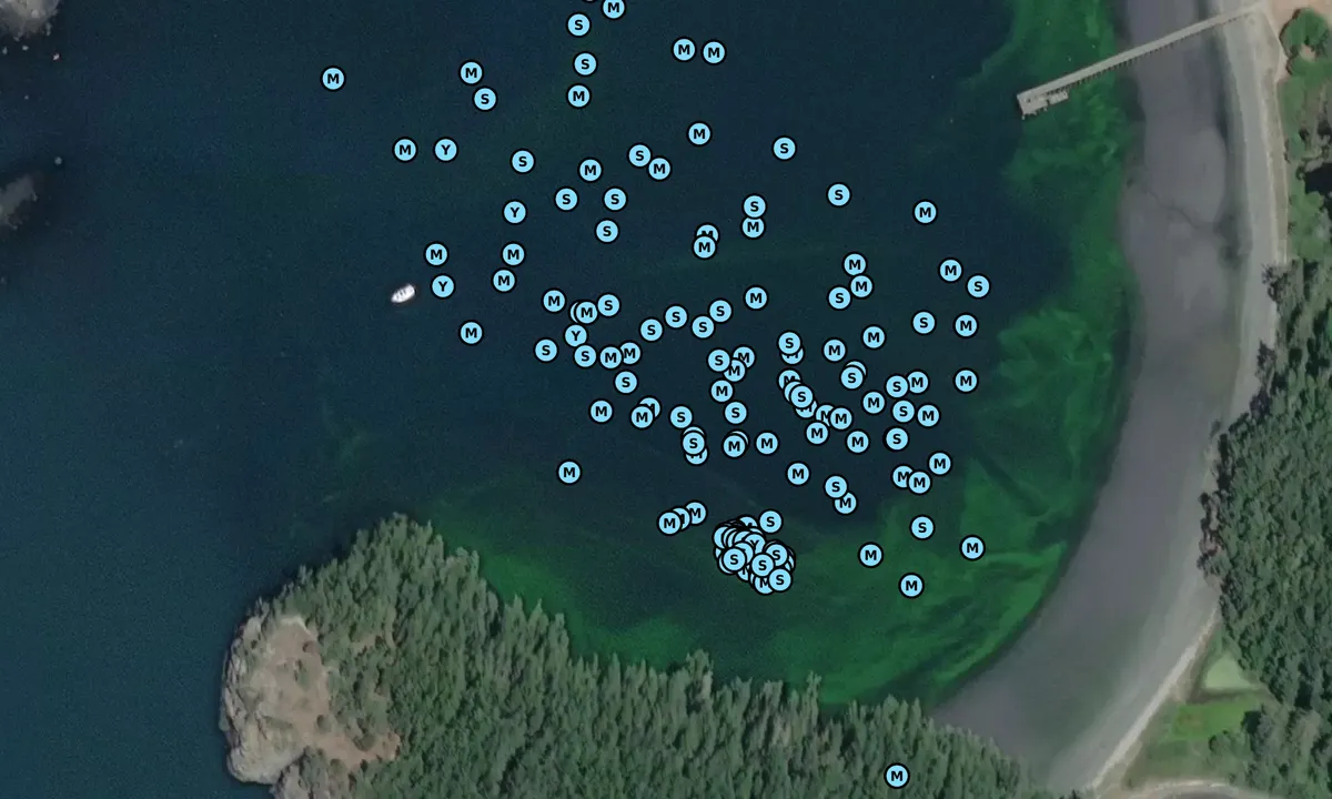 Satelite image of Bowman Bay