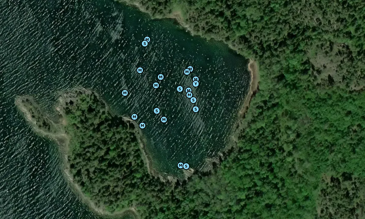 Satelite image of Brännäset