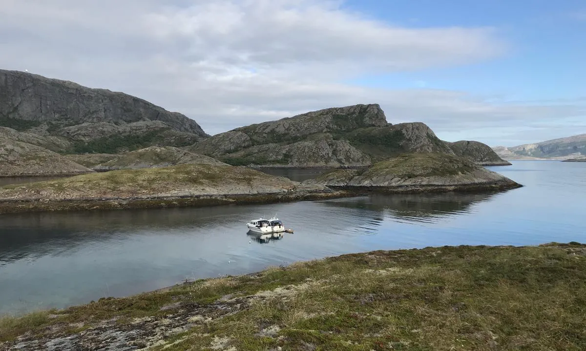 Brennholmen: Bøye til fortøyning utplassert i havna.