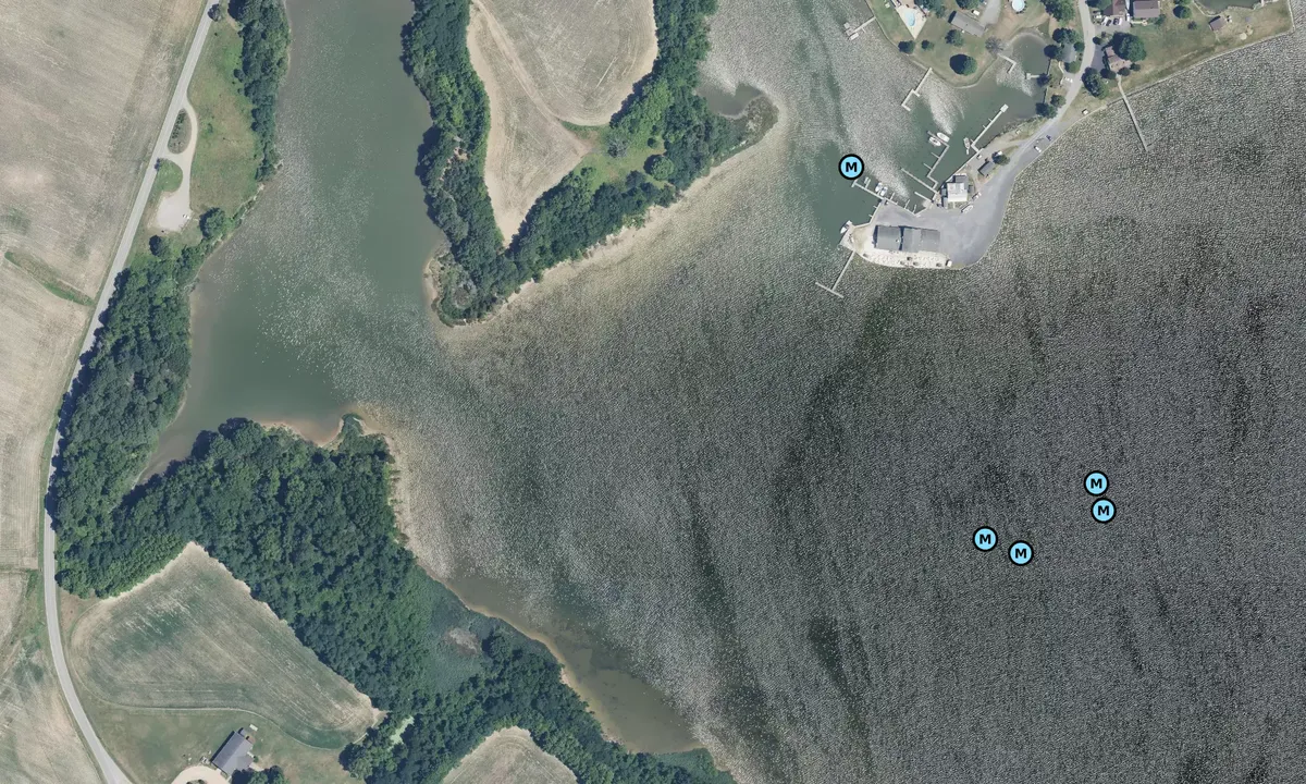 Satelite image of Breton Bay - West