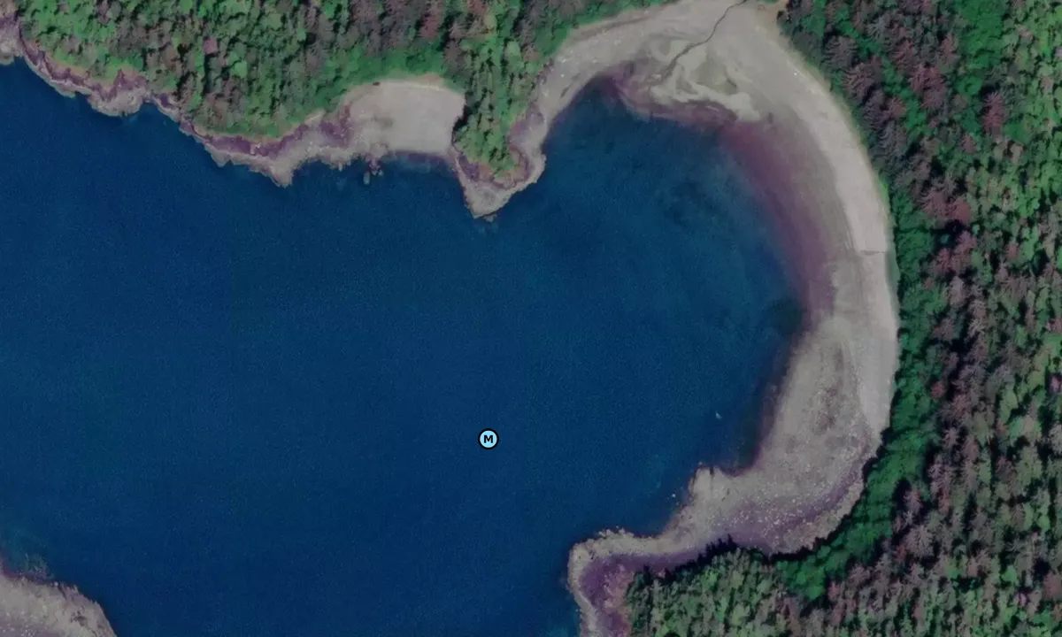 Satelite image of Bridget Cove (north)