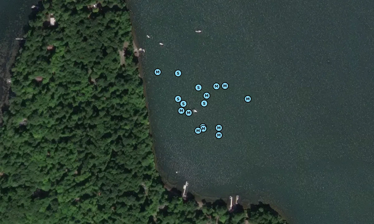 Satelite image of Briscoe Cove