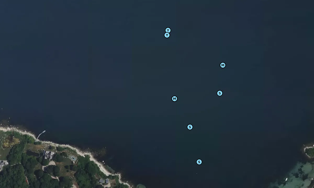 Satelite image of Brooks Point Cove