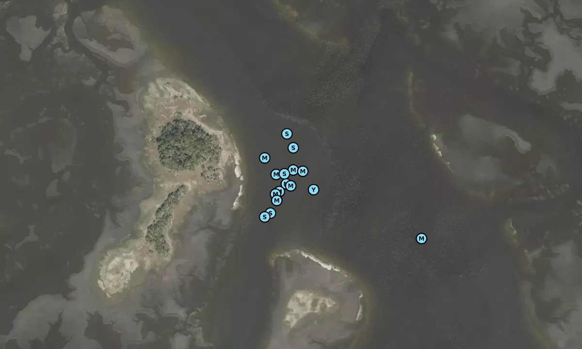 Satelite image of Broward Creek