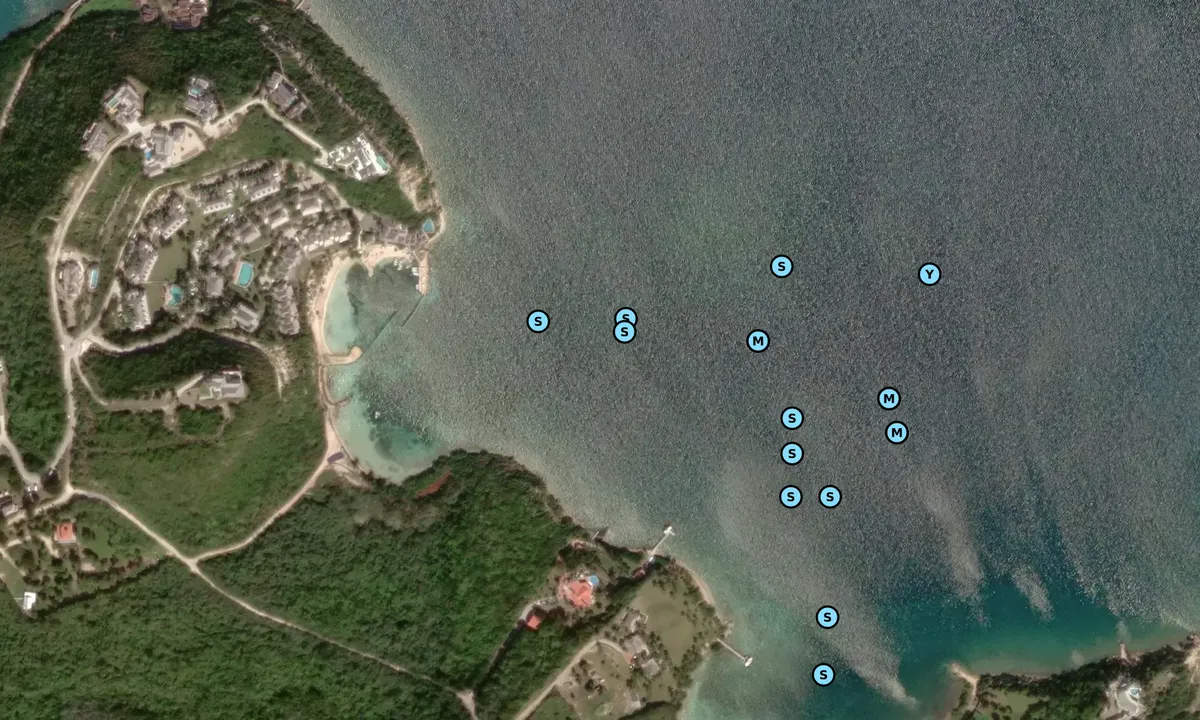 Satelite image of Brown's Bay 1