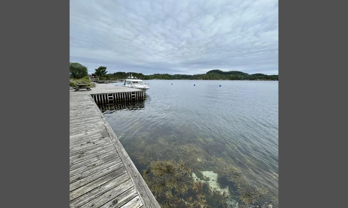 Buarøya: {"base": "no", "no": "Popul\u00e6r uthavn med fort\u00f8yning akter i b\u00f8yene. Lite folk her i dag, s\u00e5 vi tok sjansen p\u00e5 longside.", "se": "Popul\u00e4r uthamn med f\u00f6rt\u00f6jning akter i bojarna. Lite folk h\u00e4r idag, s\u00e5 vi tog chansen att ligga l\u00e5ngsides.", "en": "Popular anchorage with stern mooring to buoys. Few people here today, so we took the chance to moor alongside.", "da": "Popul\u00e6r uthavn med fort\u00f8jning agter i b\u00f8jerne. F\u00e5 mennesker her i dag, s\u00e5 vi tog chancen p\u00e5 langsiden.", "fr": "Port populaire avec amarrage arri\u00e8re aux bou\u00e9es. Peu de monde aujourd'hui, alors nous avons pris le risque de nous amarrer le long du quai.", "de": "Beliebter Naturhafen mit Heckfestmacher an den Bojen. Wenig Leute hier heute, also nahmen wir die Gelegenheit f\u00fcr L\u00e4ngsseite.", "es": "Popular puerto natural con amarre en popa en boyas. Poca gente aqu\u00ed hoy, as\u00ed que aprovechamos para amarrar de costado.", "it": "Porto turistico popolare con ormeggio di poppa alle boe. Poca gente qui oggi, quindi ci siamo presi la libert\u00e0 di ormeggiare di fianco.", "pt": "Popular fundeadouro com amarra\u00e7\u00e3o de popa nas boias. Pouca gente aqui hoje, ent\u00e3o aproveitamos para atracar alongside.", "nl": "Populaire ankerplaats met achtersteven aan de boeien. Weinig mensen hier vandaag, dus we hebben de gok gewaagd om langszij te gaan.", "pl": "Popularne kotwicowisko z mocowaniem rufy do bojek. Dzi\u015b ma\u0142o ludzi, wi\u0119c skorzystali\u015bmy z okazji i zacumowali\u015bmy wzd\u0142u\u017c burty.", "uk": "\u041f\u043e\u043f\u0443\u043b\u044f\u0440\u043d\u0430 \u0433\u0430\u0432\u0430\u043d\u044c \u0434\u043b\u044f \u0448\u0432\u0430\u0440\u0442\u0443\u0432\u0430\u043d\u043d\u044f \u043a\u043e\u0440\u043c\u043e\u044e \u0434\u043e \u0431\u0443\u0457\u0432. \u0421\u044c\u043e\u0433\u043e\u0434\u043d\u0456 \u0442\u0443\u0442 \u043c\u0430\u043b\u043e \u043b\u044e\u0434\u0435\u0439, \u0442\u043e\u043c\u0443 \u043c\u0438 \u0432\u0438\u0440\u0456\u0448\u0438\u043b\u0438 \u043f\u0440\u0438\u0448\u0432\u0430\u0440\u0442\u0443\u0432\u0430\u0442\u0438\u0441\u044f \u0431\u043e\u0440\u0442 \u0434\u043e \u0431\u043e\u0440\u0442\u0443.", "ro": "Port popular cu ancorare la pupa la geamanduri. Pu\u021bini oameni aici ast\u0103zi, a\u0219a c\u0103 ne-am \u00eencercat norocul la acostare lateral\u0103.", "tr": "Pop\u00fcler bir d\u0131\u015f liman, \u015famand\u0131ralara k\u0131\u00e7tan ba\u011flanarak yana\u015f\u0131l\u0131yor. Bug\u00fcn burada \u00e7ok az insan var, bu y\u00fczden bordalamay\u0131 denedik.", "el": "\u0394\u03b7\u03bc\u03bf\u03c6\u03b9\u03bb\u03ad\u03c2 \u03b1\u03b3\u03ba\u03c5\u03c1\u03bf\u03b2\u03cc\u03bb\u03b9\u03bf \u03bc\u03b5 \u03c0\u03c1\u03c5\u03bc\u03bd\u03bf\u03b4\u03b5\u03c4\u03b7\u03bc\u03ad\u03bd\u03b5\u03c2 \u03b8\u03ad\u03c3\u03b5\u03b9\u03c2 \u03c3\u03c4\u03bf\u03c5\u03c2 \u03c0\u03bb\u03c9\u03c4\u03ae\u03c1\u03b5\u03c2. \u039b\u03af\u03b3\u03bf\u03c2 \u03ba\u03cc\u03c3\u03bc\u03bf\u03c2 \u03b5\u03b4\u03ce \u03c3\u03ae\u03bc\u03b5\u03c1\u03b1, \u03bf\u03c0\u03cc\u03c4\u03b5 \u03c0\u03ae\u03c1\u03b1\u03bc\u03b5 \u03c4\u03b7\u03bd \u03b5\u03c5\u03ba\u03b1\u03b9\u03c1\u03af\u03b1 \u03b3\u03b9\u03b1 \u03c0\u03bb\u03b5\u03c5\u03c1\u03b9\u03ba\u03ae \u03c0\u03c1\u03cc\u03c3\u03b4\u03b5\u03c3\u03b7.", "cs": "Popul\u00e1rn\u00ed p\u0159\u00edstav s kotven\u00edm z\u00e1d\u00ed k b\u00f3j\u00edm. Dnes je zde m\u00e1lo lid\u00ed, tak jsme se rozhodli kotvit bokem.", "hu": "N\u00e9pszer\u0171 kik\u00f6t\u0151hely h\u00e1tuls\u00f3 kik\u00f6t\u00e9ssel a b\u00f3j\u00e1kban. Kev\u00e9s ember van itt ma, \u00edgy \u00fagy d\u00f6nt\u00f6tt\u00fcnk, hogy oldalra k\u00f6t\u00fcnk.", "fi": "Suosittu ulkosatama, kiinnittyminen per\u00e4st\u00e4 poijuihin. V\u00e4h\u00e4n v\u00e4ke\u00e4 t\u00e4n\u00e4\u00e4n, joten otimme riskin kylkikiinnityksest\u00e4.", "bg": "\u041f\u043e\u043f\u0443\u043b\u044f\u0440\u043d\u043e \u043f\u0440\u0438\u0441\u0442\u0430\u043d\u0438\u0449\u0435 \u0437\u0430 \u043f\u0440\u0435\u0441\u0442\u043e\u0439 \u0441 \u043a\u044a\u0440\u043c\u043e\u0432\u043e \u0437\u0430\u043a\u0440\u0435\u043f\u0432\u0430\u043d\u0435 \u043d\u0430 \u0448\u0430\u043c\u0430\u043d\u0434\u0443\u0440\u0438. \u0414\u043d\u0435\u0441 \u0442\u0443\u043a \u0438\u043c\u0430 \u043c\u0430\u043b\u043a\u043e \u0445\u043e\u0440\u0430, \u0437\u0430\u0442\u043e\u0432\u0430 \u0440\u0435\u0448\u0438\u0445\u043c\u0435 \u0434\u0430 \u0430\u043a\u043e\u0441\u0442\u0438\u0440\u0430\u043c\u0435 \u043d\u0430 \u043f\u0430\u0440\u0430\u043b\u0435\u043b\u0435\u043d \u0431\u043e\u0440\u0434.", "sr": "Popularno pristani\u0161te sa vezivanjem na krmu za bove. Danas ovde nema mnogo ljudi, pa smo iskoristili priliku za pristanak uz bok.", "et": "Populaarne varjupaik ahtrisse kinnitamise poidega. T\u00e4na on siin v\u00e4he inimesi, seega v\u00f5tsime v\u00f5imaluse longsidega.", "lv": "Popul\u0101ra apmetne ar aizmugures piest\u0101tni pie boju. \u0160odien \u0161eit ir maz cilv\u0113ku, t\u0101p\u0113c m\u0113s izmantoj\u0101m iesp\u0113ju un piest\u0101j\u0101m l\u012bdz\u0101s.", "lt": "Populiarus uostas su \u0161vartavimosi galimyb\u0117mis u\u017epakalin\u0117je dalyje. \u0160iandien \u010dia ma\u017eai \u017emoni\u0173, taigi i\u0161dr\u012fsome \u0161vartuotis \u0161onu."}