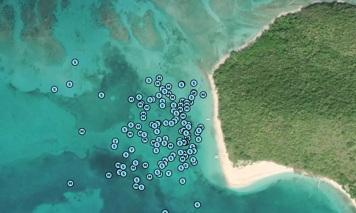 Satelite image of Buck Island - Christiansted