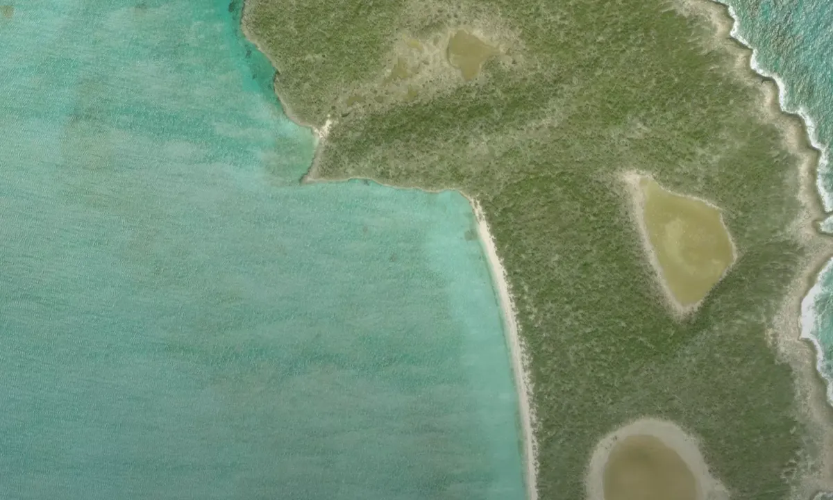 Flyfoto av Buena Vista Cay (North)