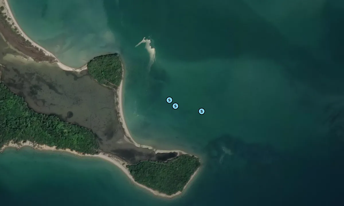 Satelite image of Buffalo island