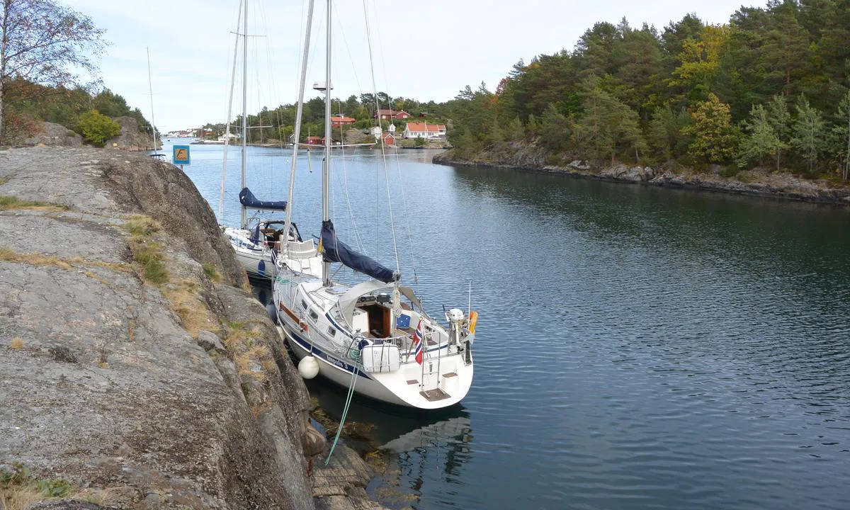 Bukkholmane: Utsikt innover mot Lyngør.