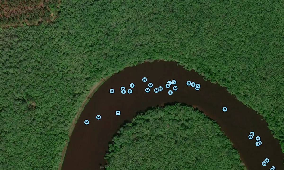 Satelite image of Bull Creek 1