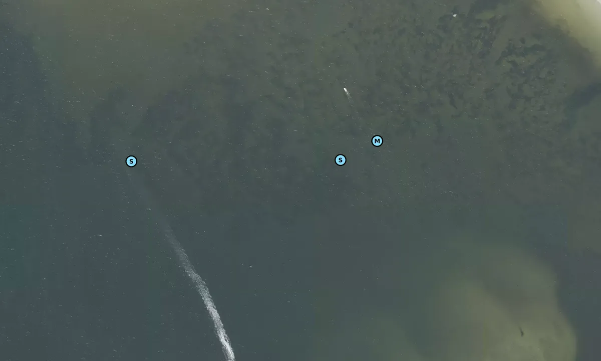 Satelite image of Bunche Beach