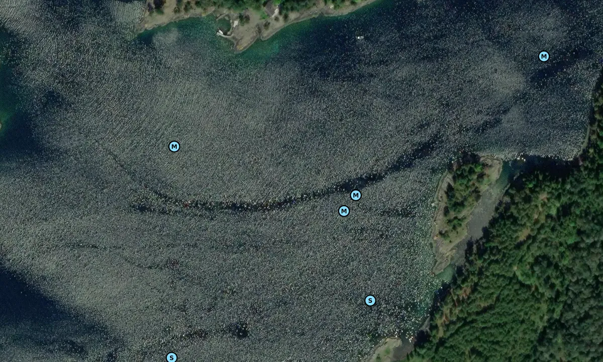 Satelite image of Buøysundet - Byre