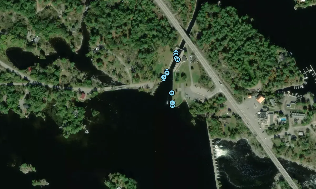 Satelite image of Burleigh Falls Lock Wall