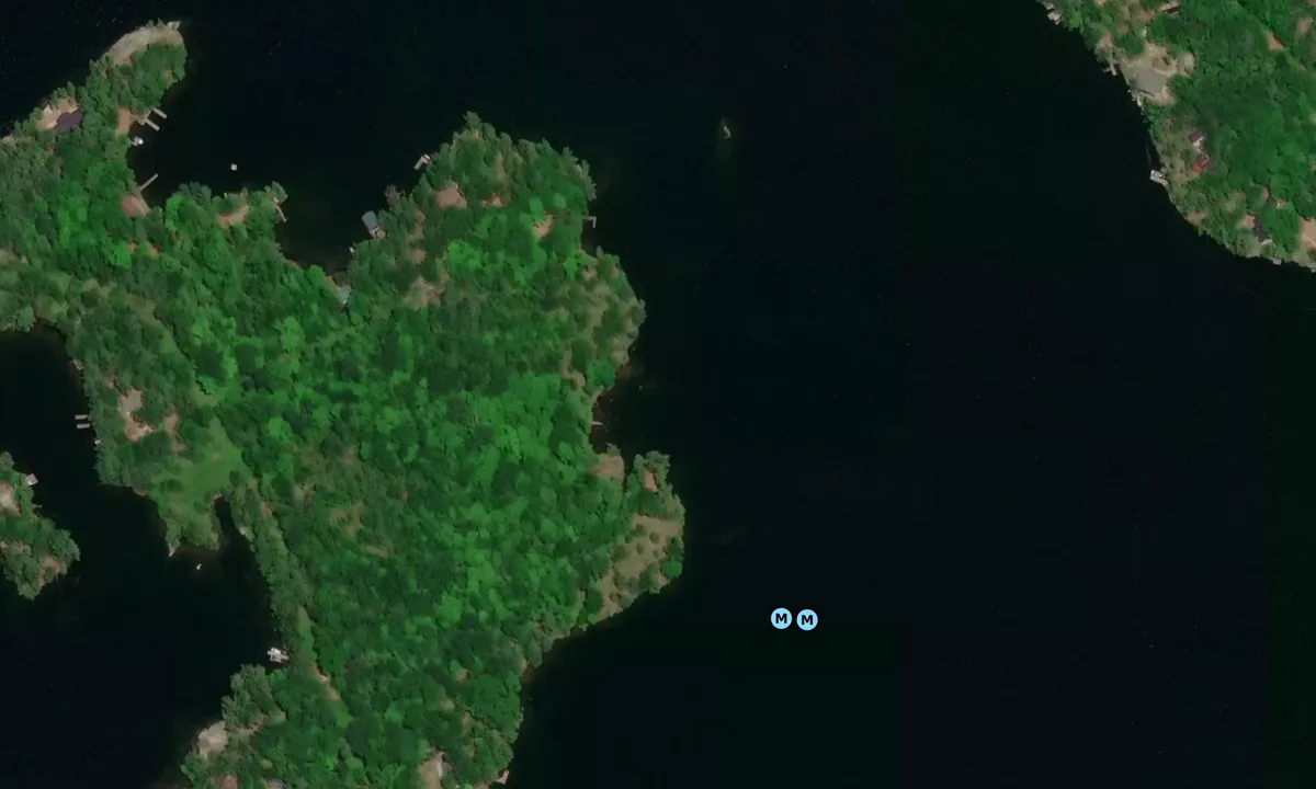 Satelite image of Burrows Bay