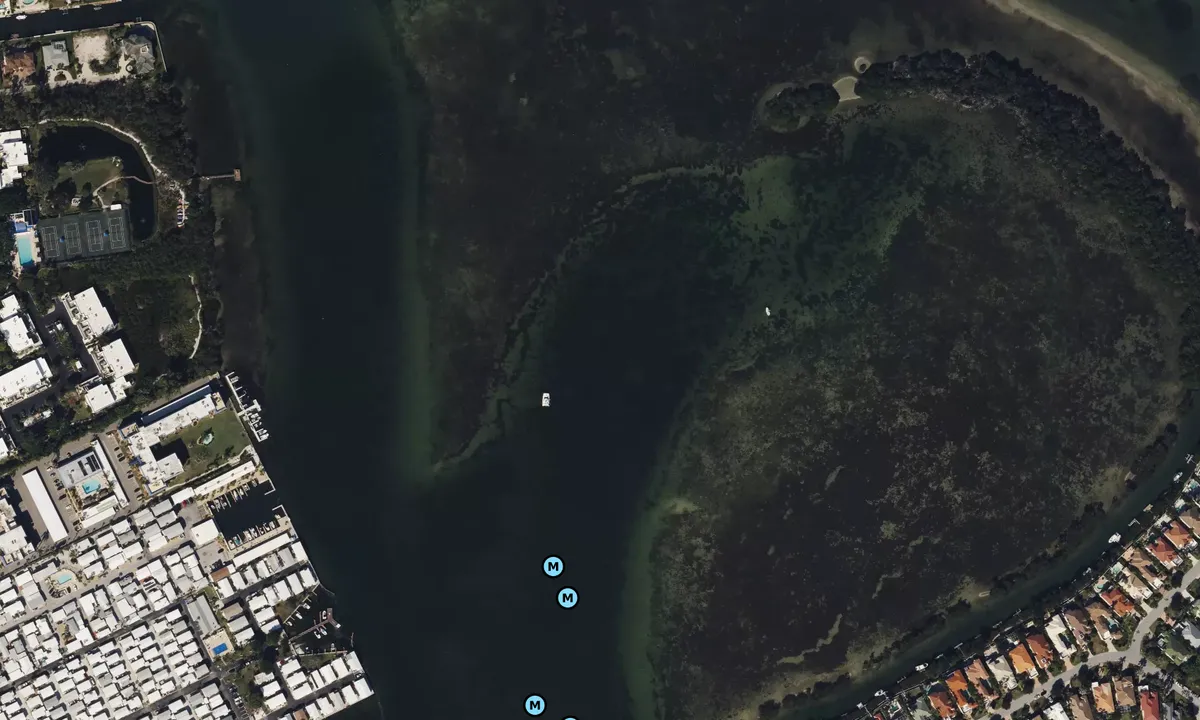 Satelite image of Buttonwood - 2