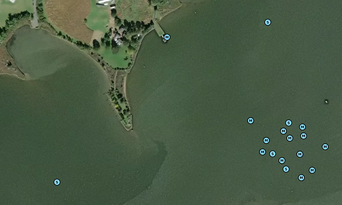 Satelite image of Cacaway Farms