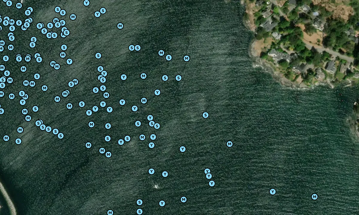 Satelite image of Cadboro Bay