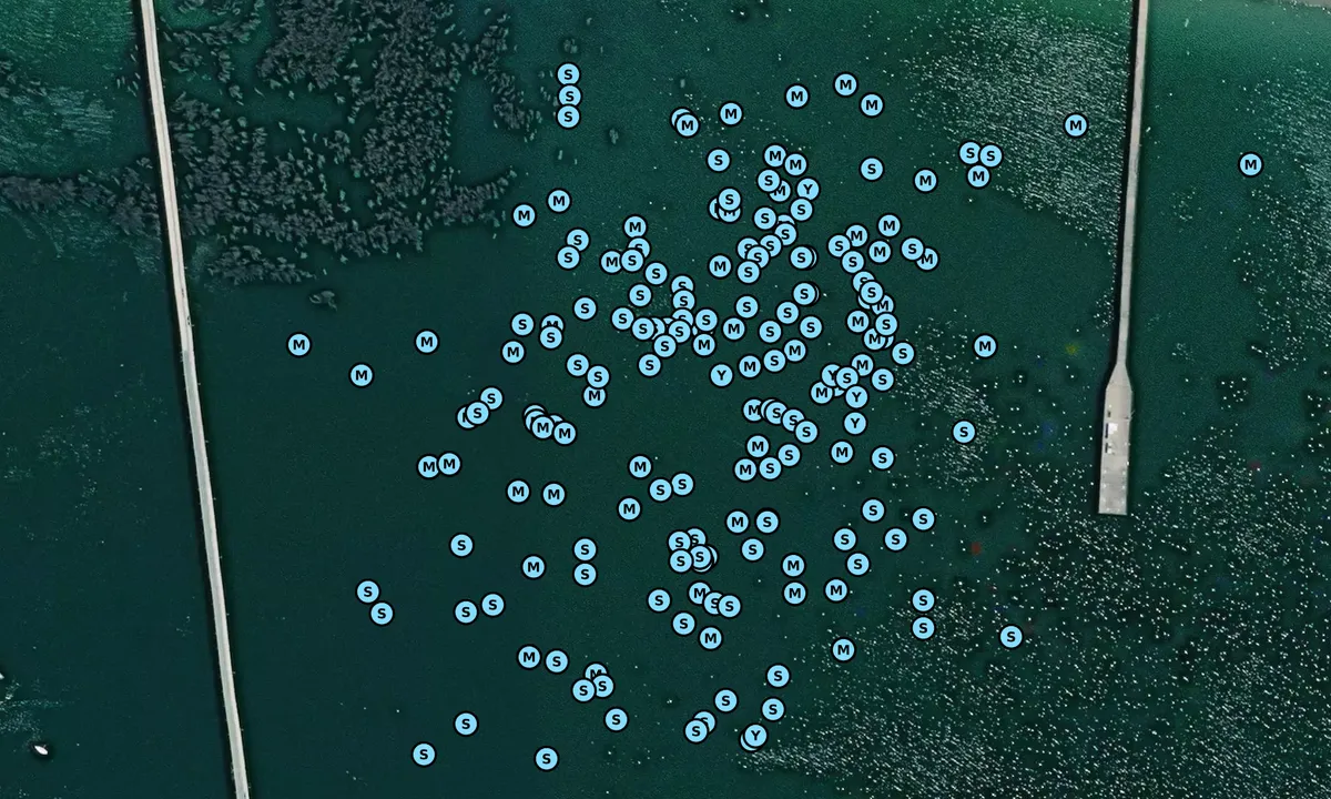 Satelite image of Cal Poly - Avila Beach Piers