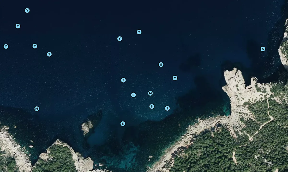 Satelite image of Cala Albarca