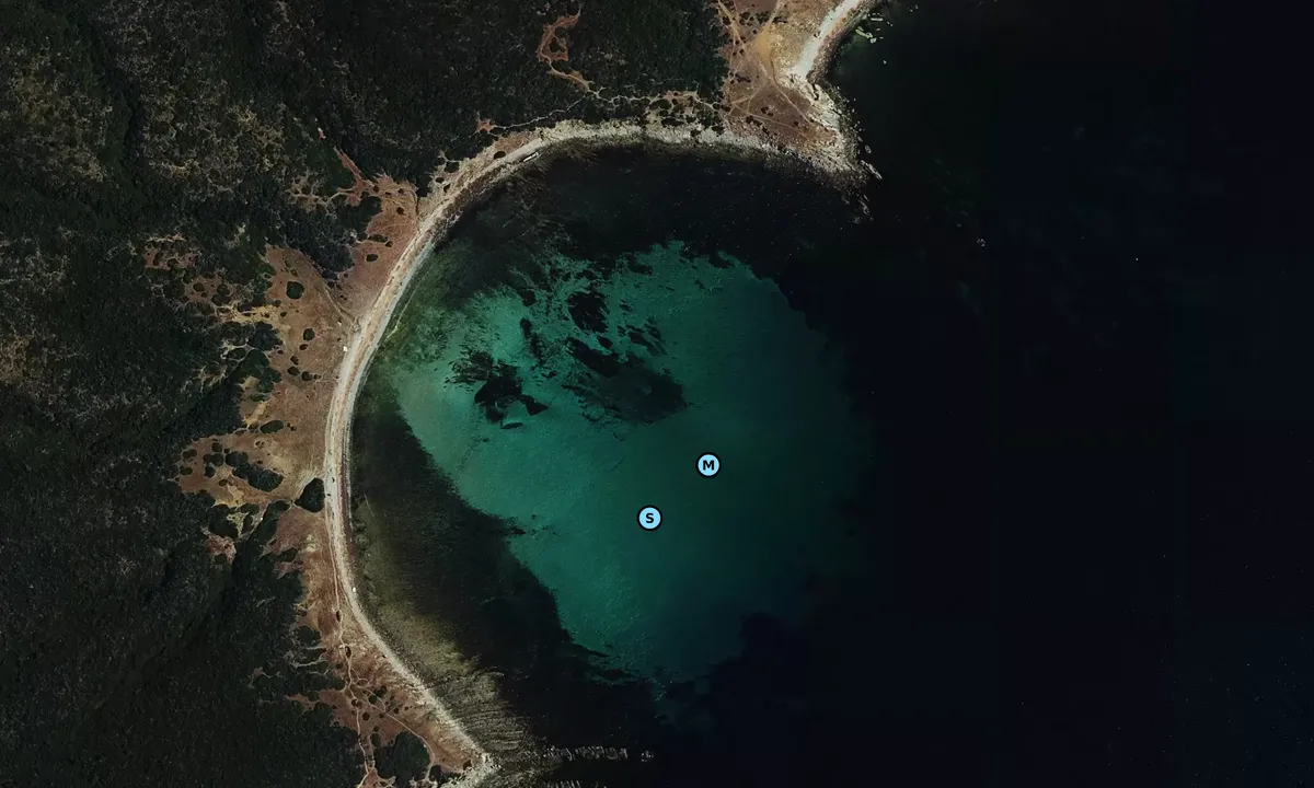 Satelite image of Cala Arenas