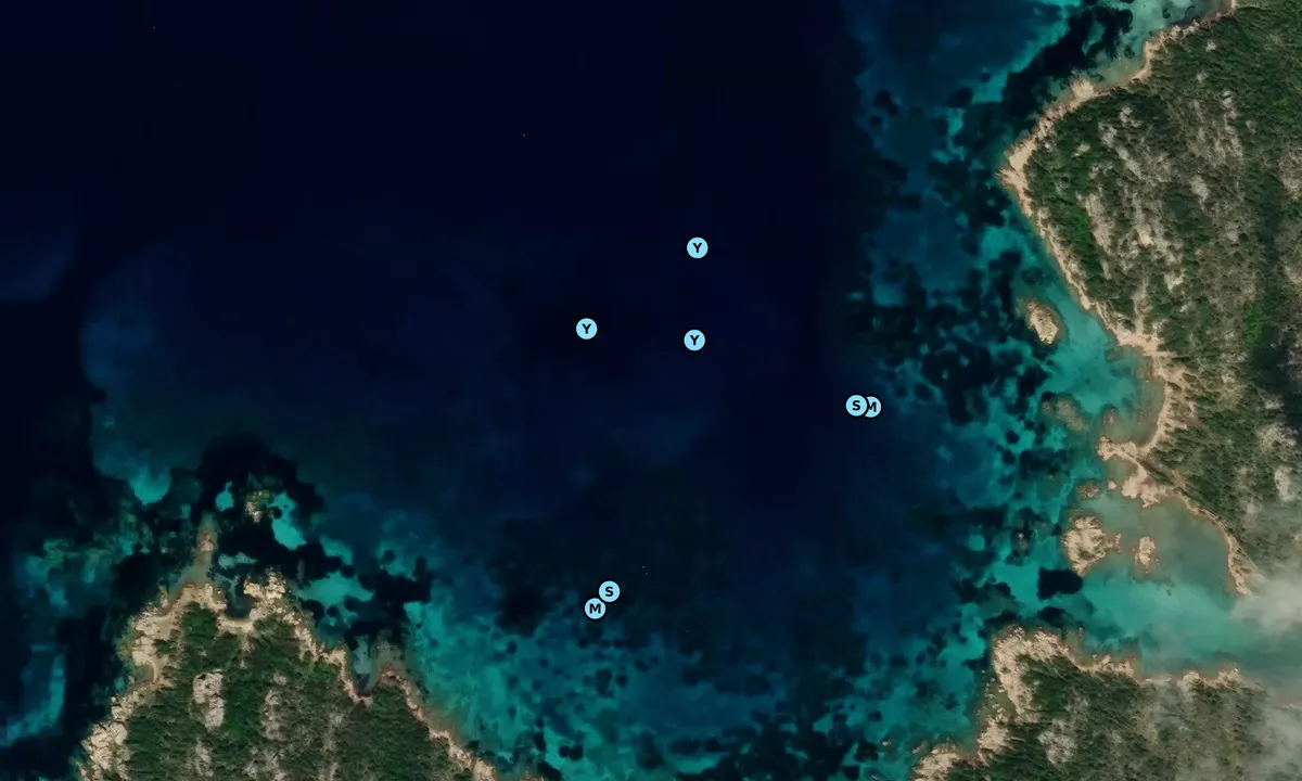 Satelite image of Cala Baccà