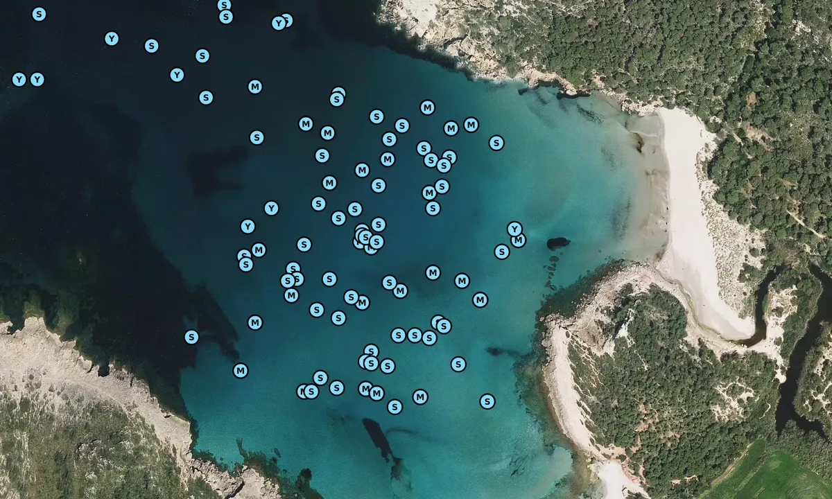 Satelite image of Cala de Algaiarens