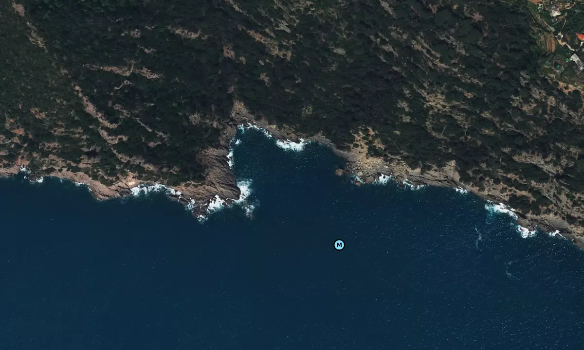 Satelite image of Cala degli Inglesi