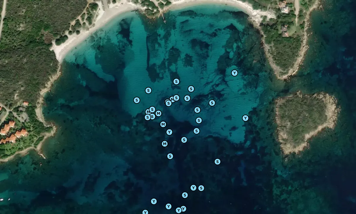 Satelite image of Cala dei Porri