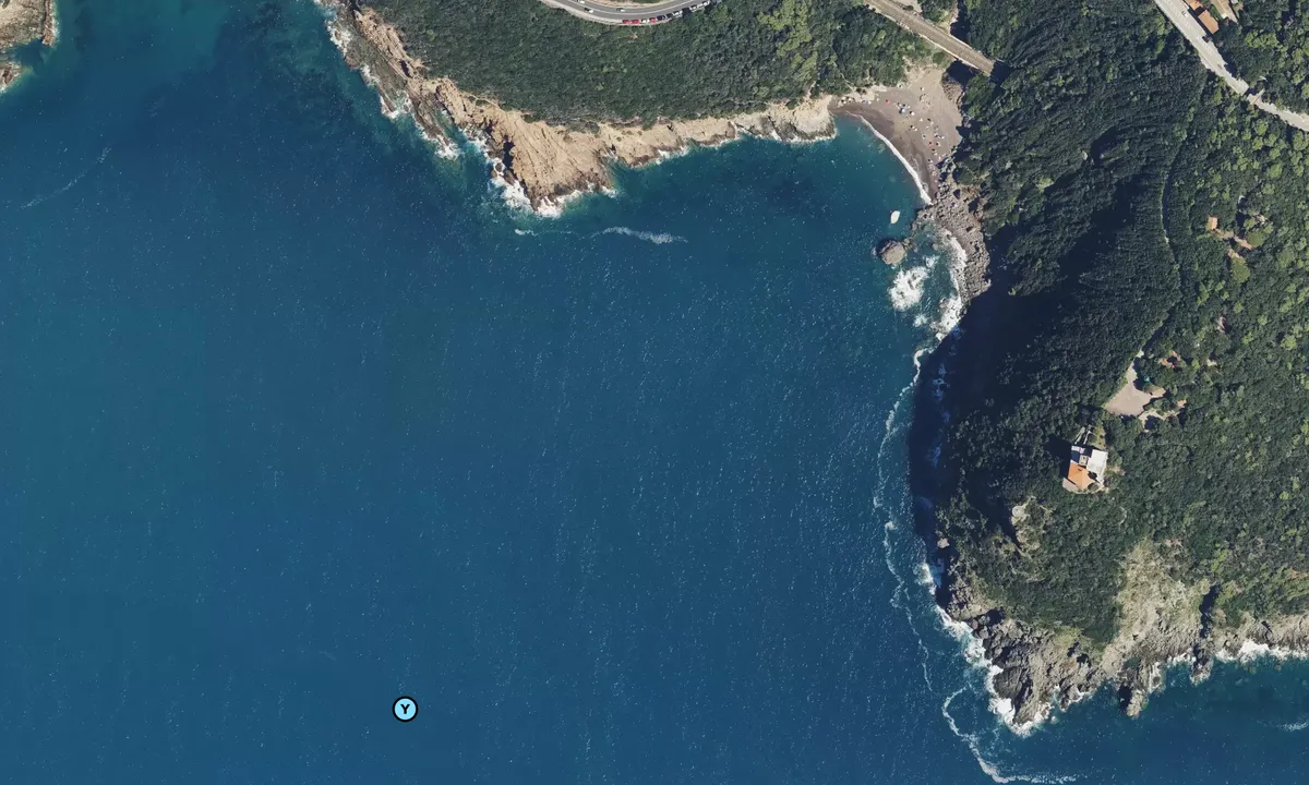 Satelite image of Cala del Leone