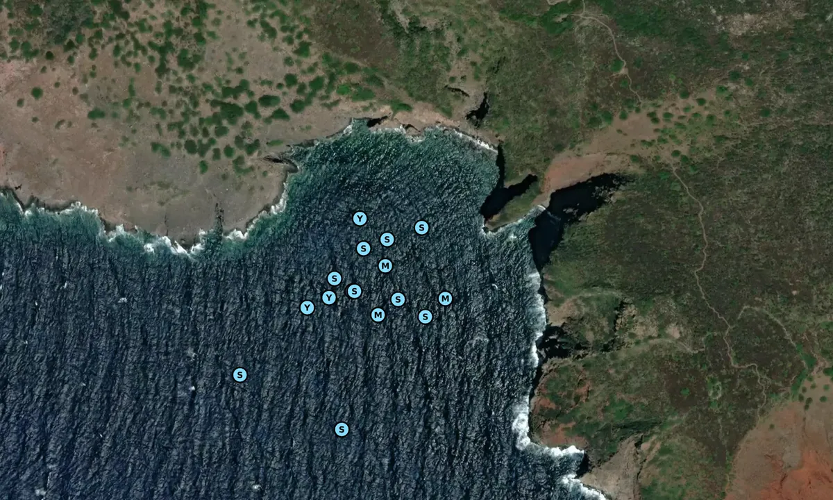 Satelite image of Cala del Moreto