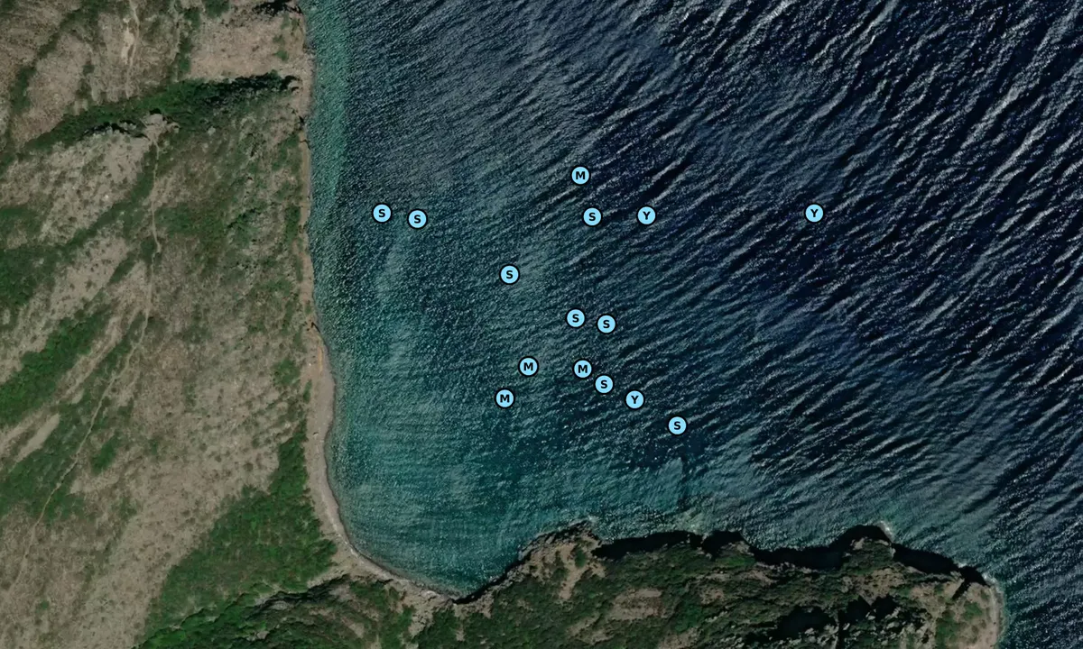 Satelite image of Cala della Mortola