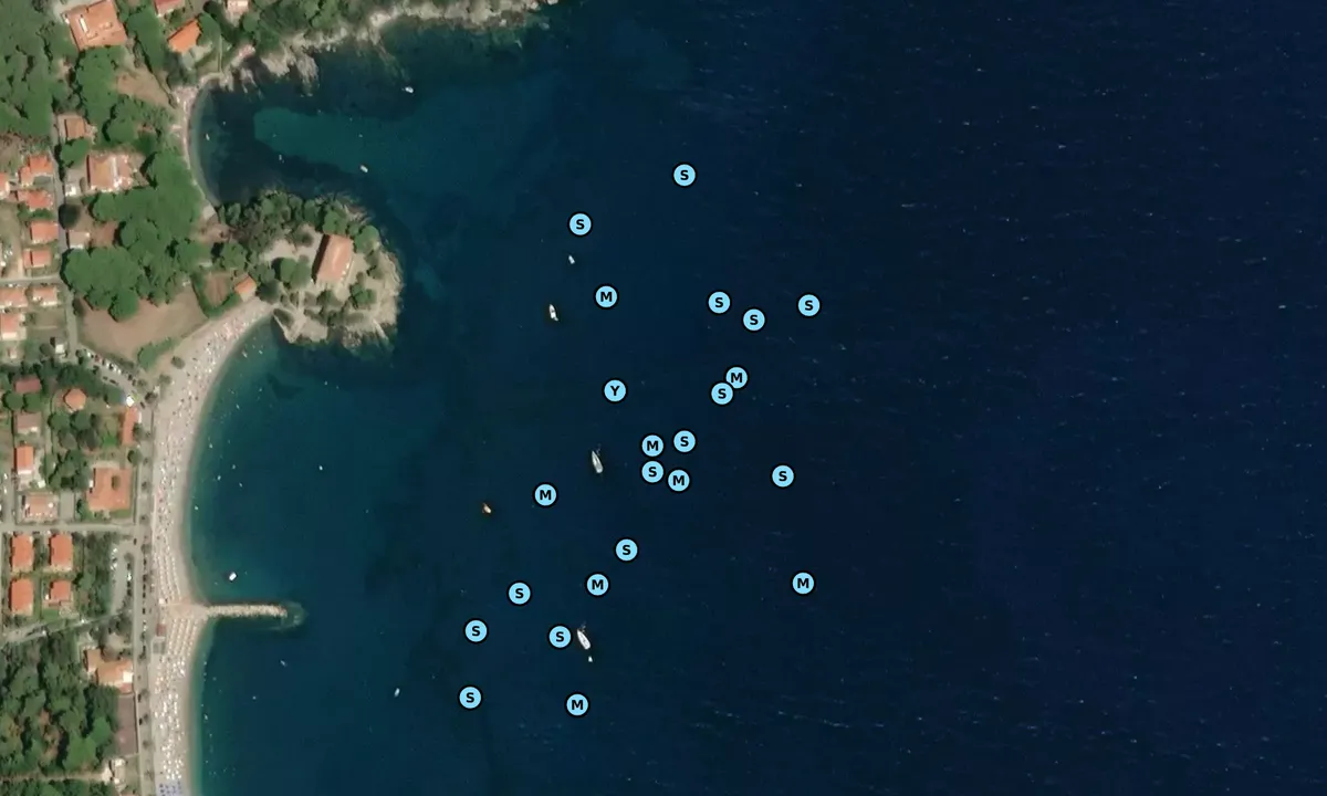 Satelite image of Cala dell'Alga