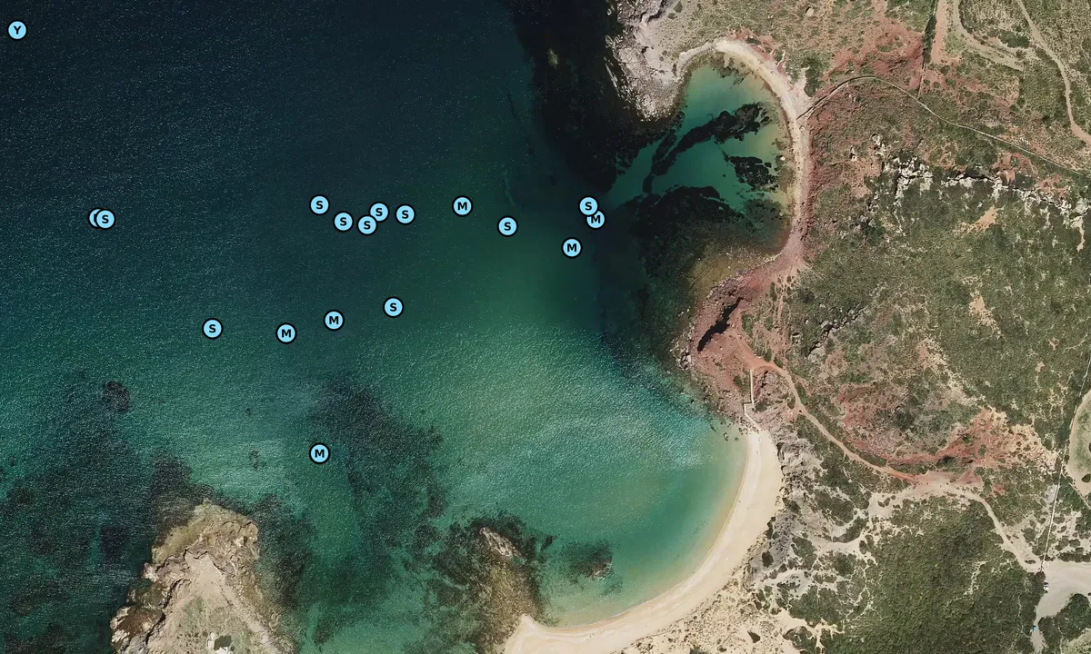 Satelite image of Cala Ferragut
