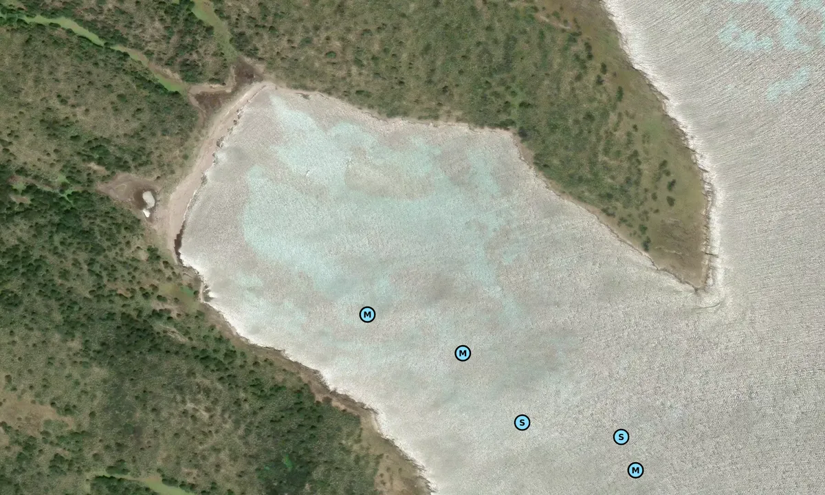 Satelite image of Cala Grande - Isola Piana